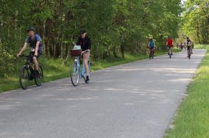 347262621_710873157508228_8051647390607416395_n