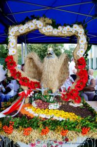 230..s.. Doż Gm. Zaczernie 2024   szafirowestudiobwj.pl